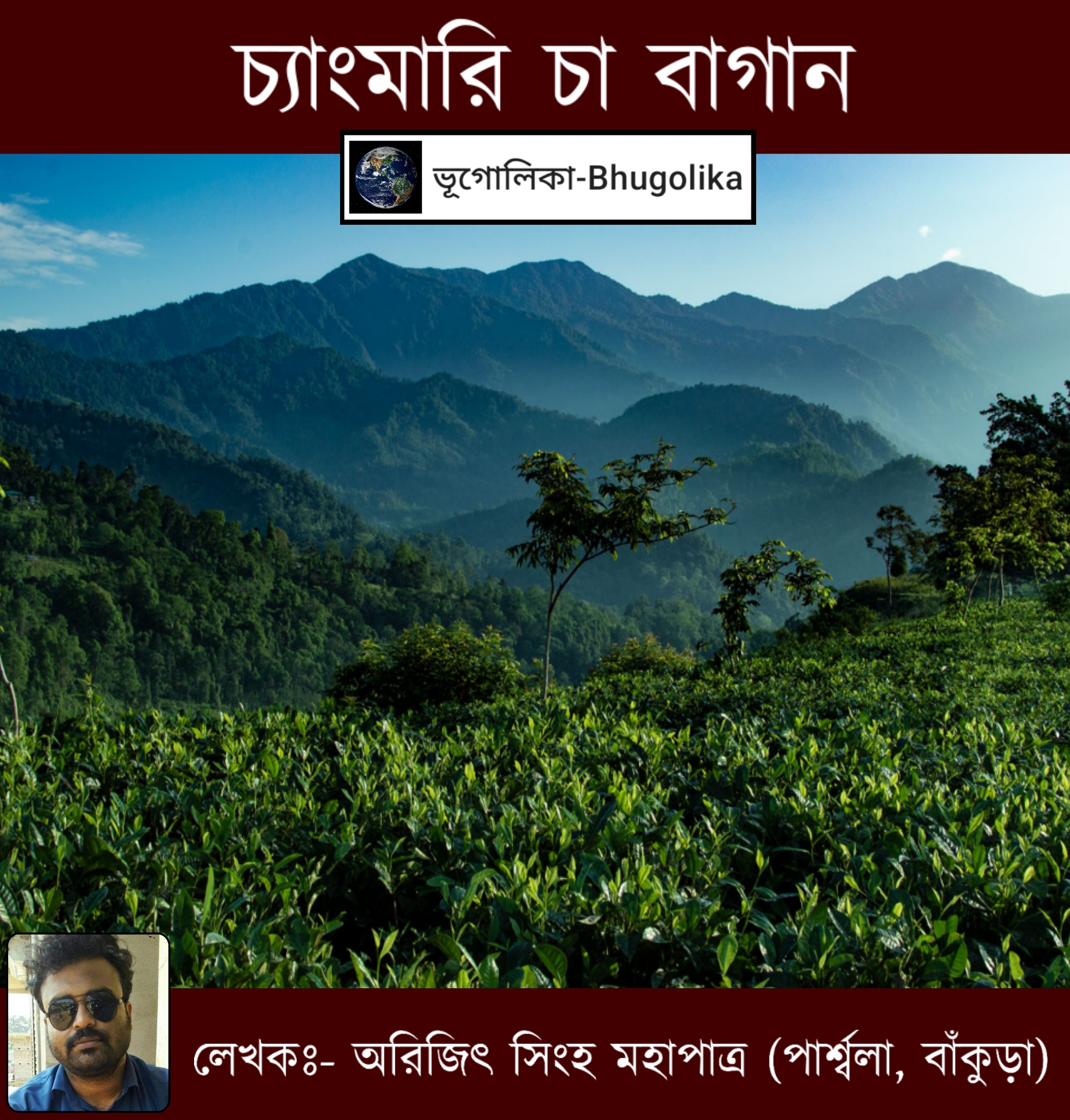 Chengmari Tea Garden 