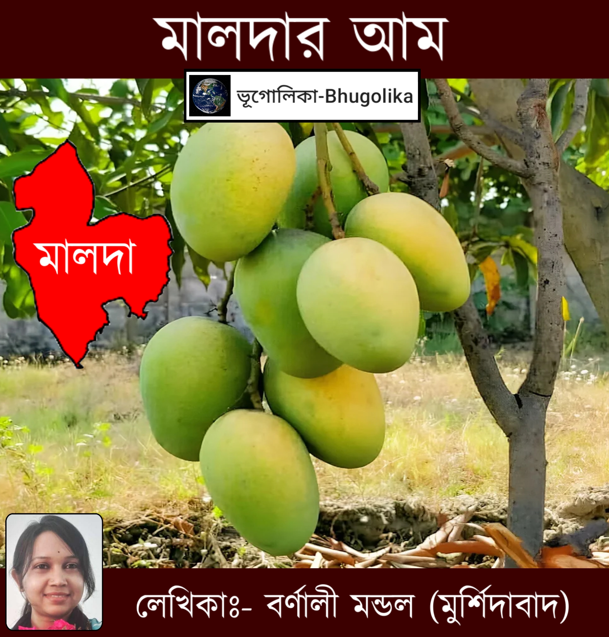 Mangoes of Malda Mangoes of Malda