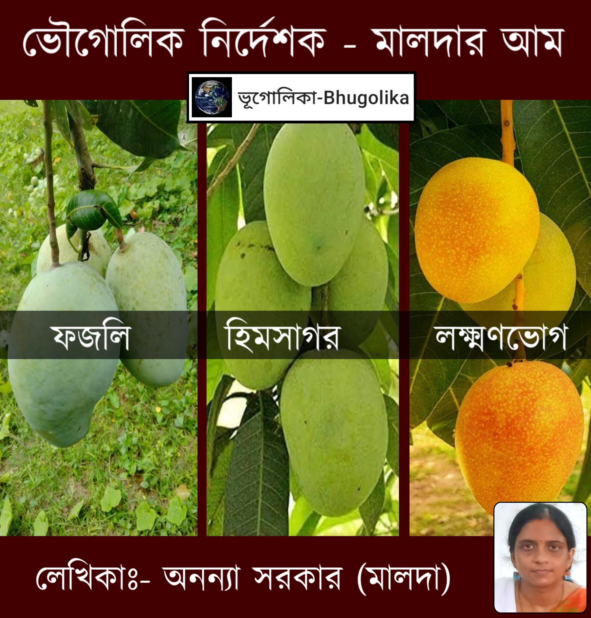 Geographical Indication - Mangoes of Malda