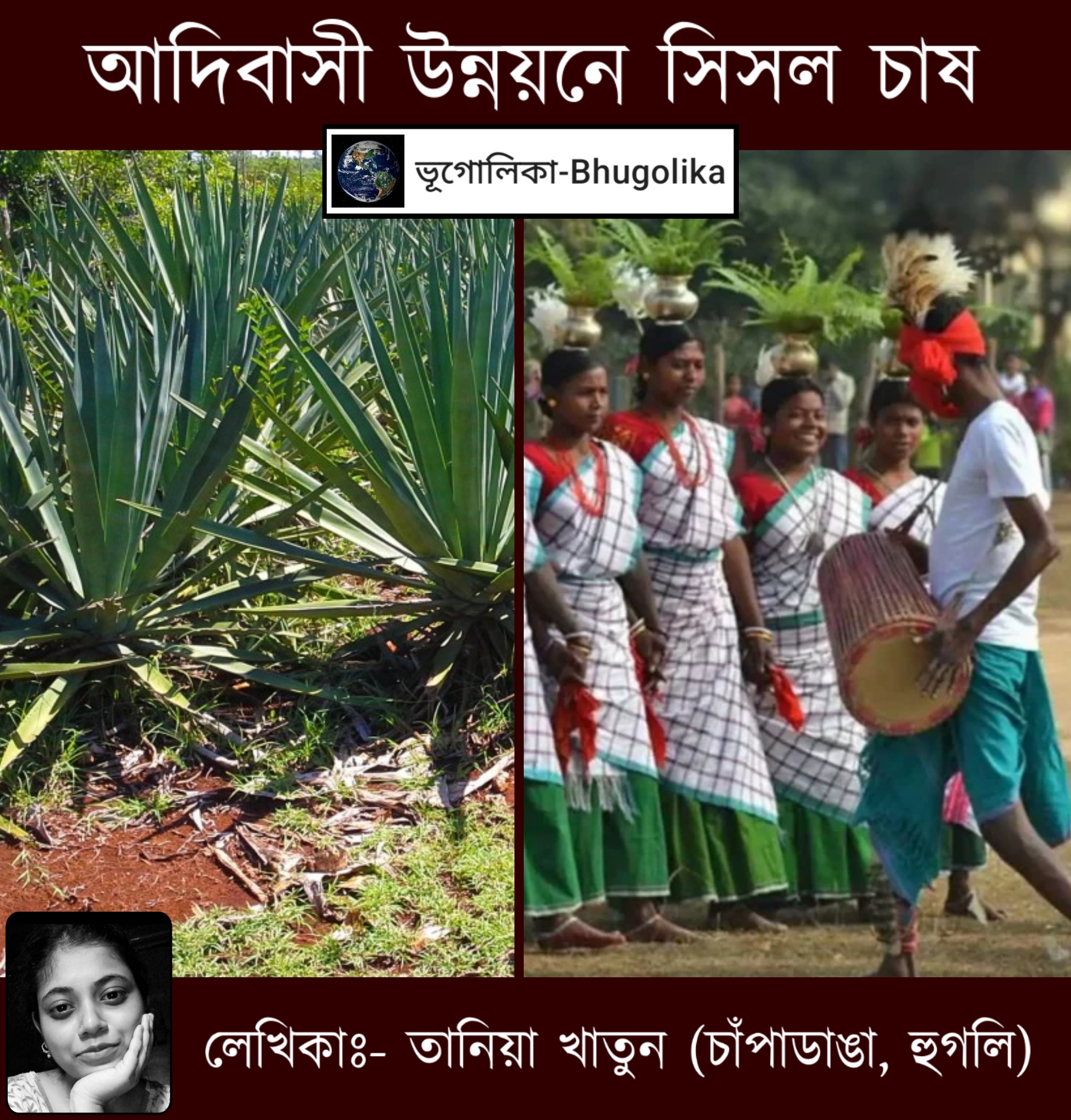 Sisal Cultivation in Tribal Development