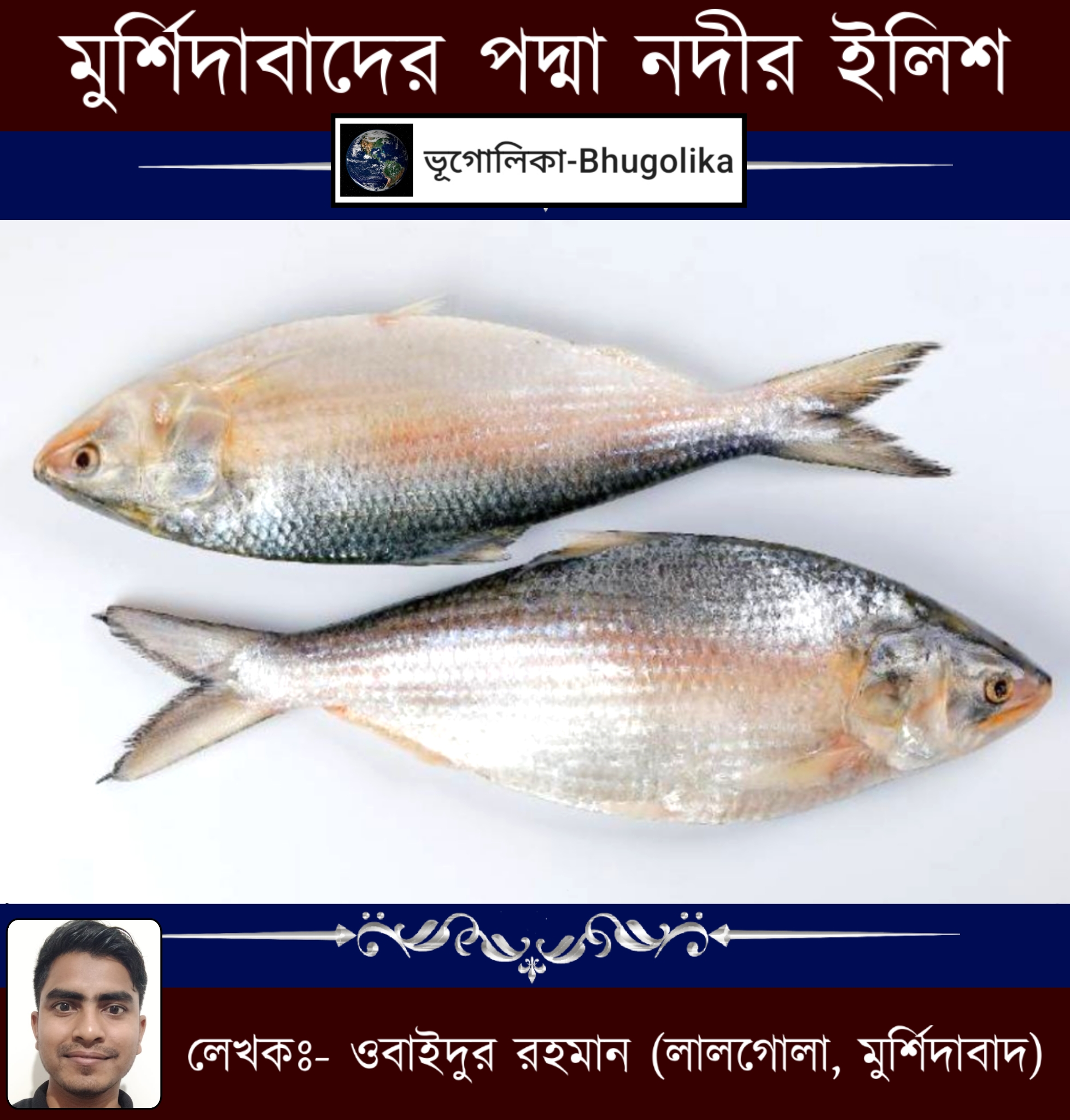 Padma River's Hilsa of Murshidabad