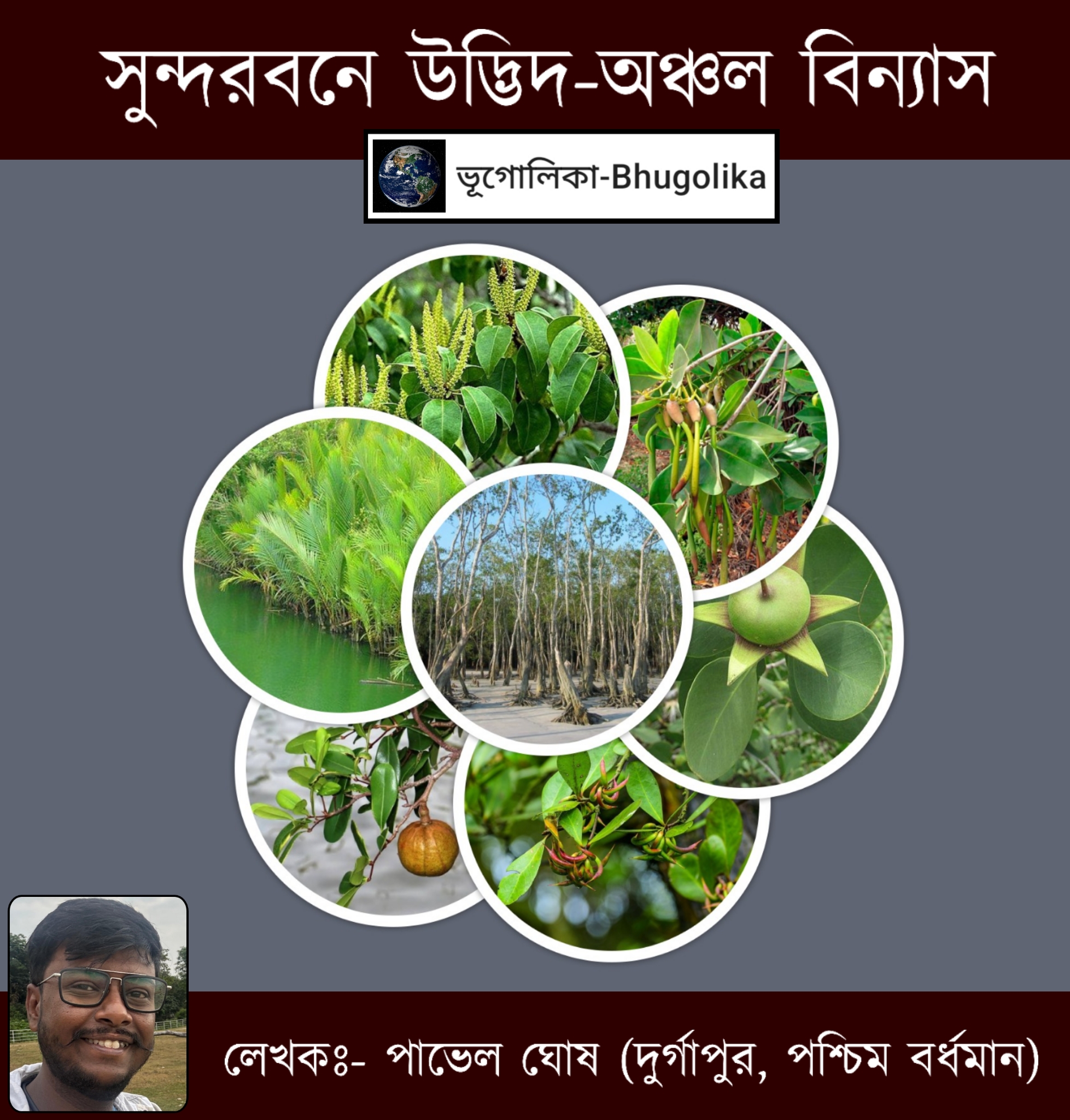 Spatial Distribution of Vegetation in Sundarban