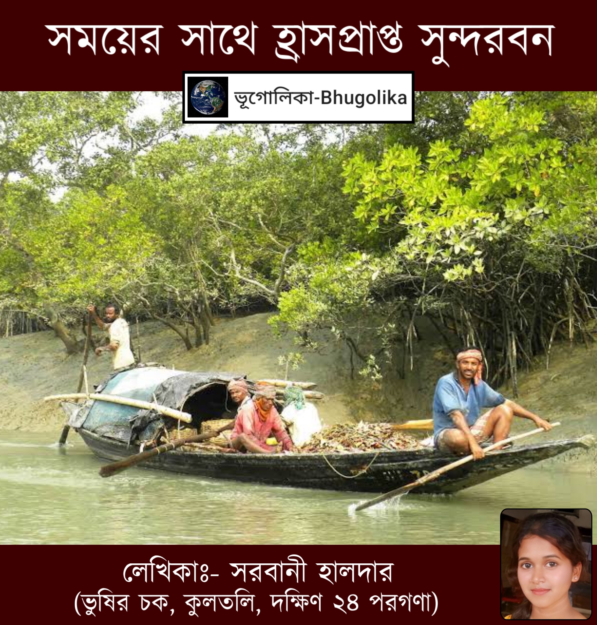 Declining Sundarban Over Time