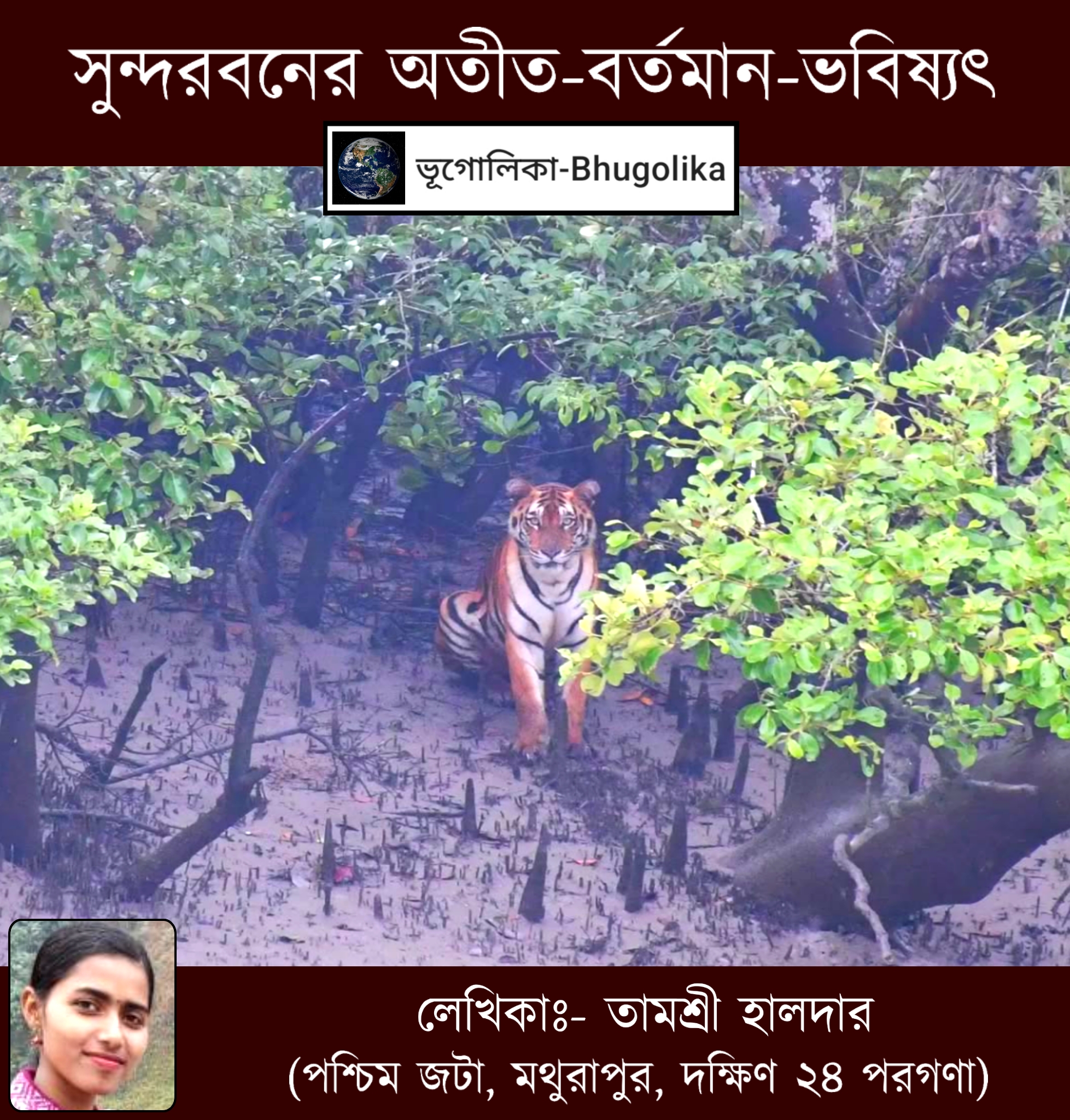 Past-Present-Future of Sundarban