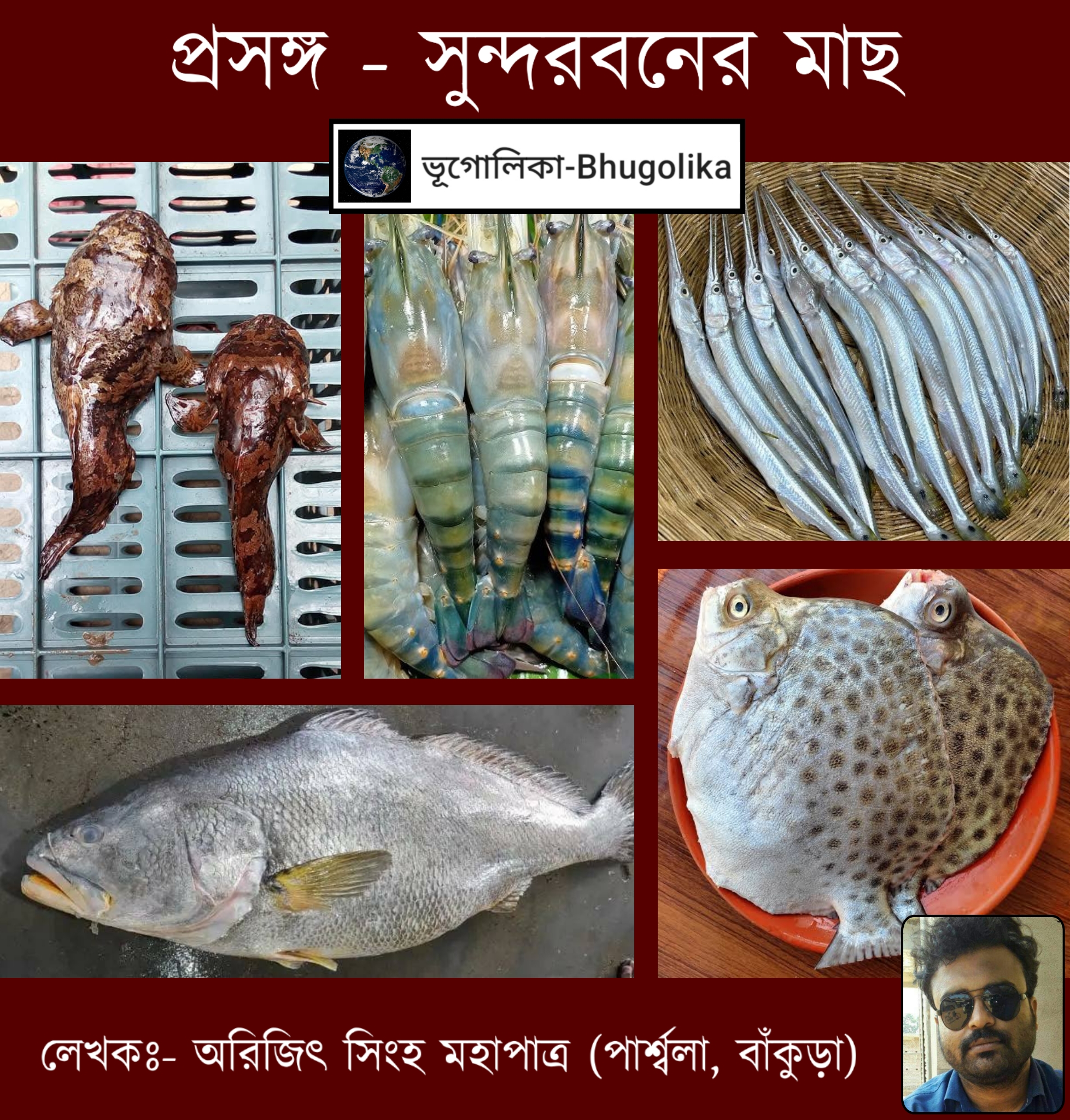 Topic - Fish of Sundarban