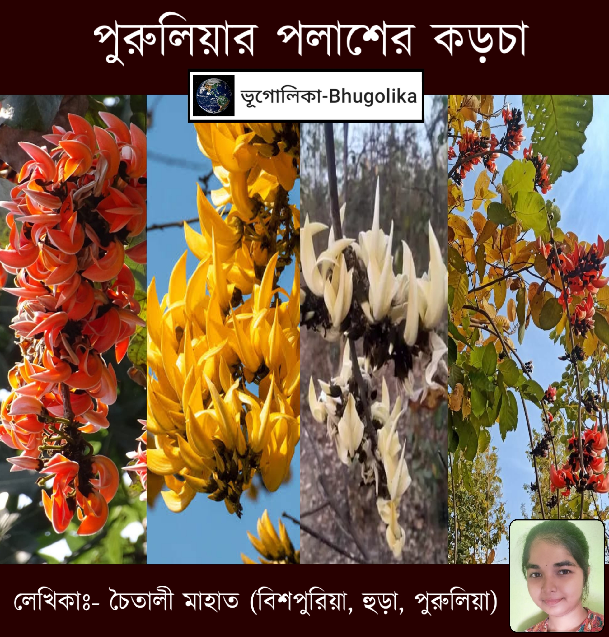 The Chronicle of Palash of Purulia