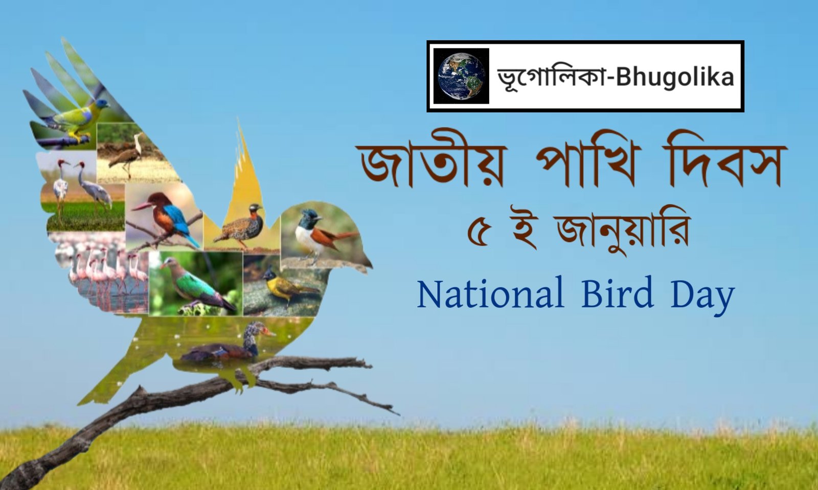 National Bird Day - ভূগোলিকা-Bhugolika