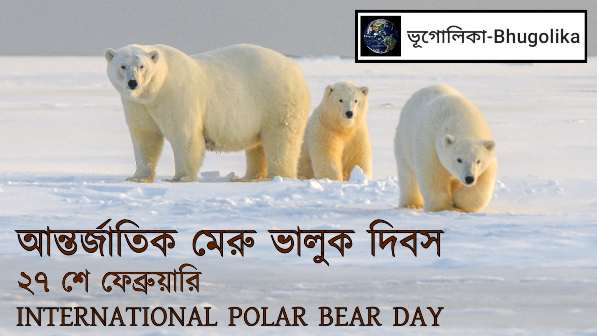 International Polar Bear Day