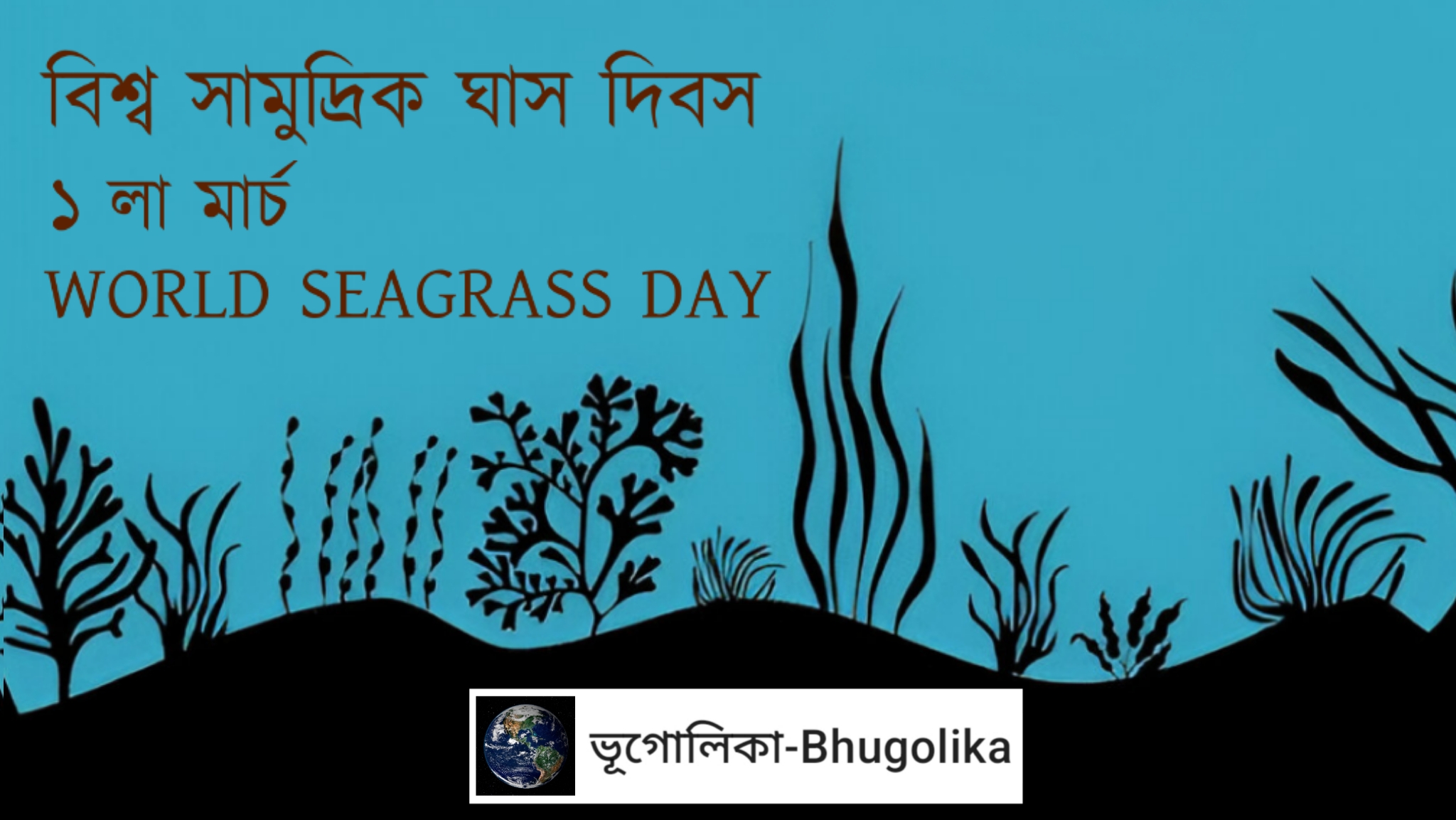 World Seagrass Day