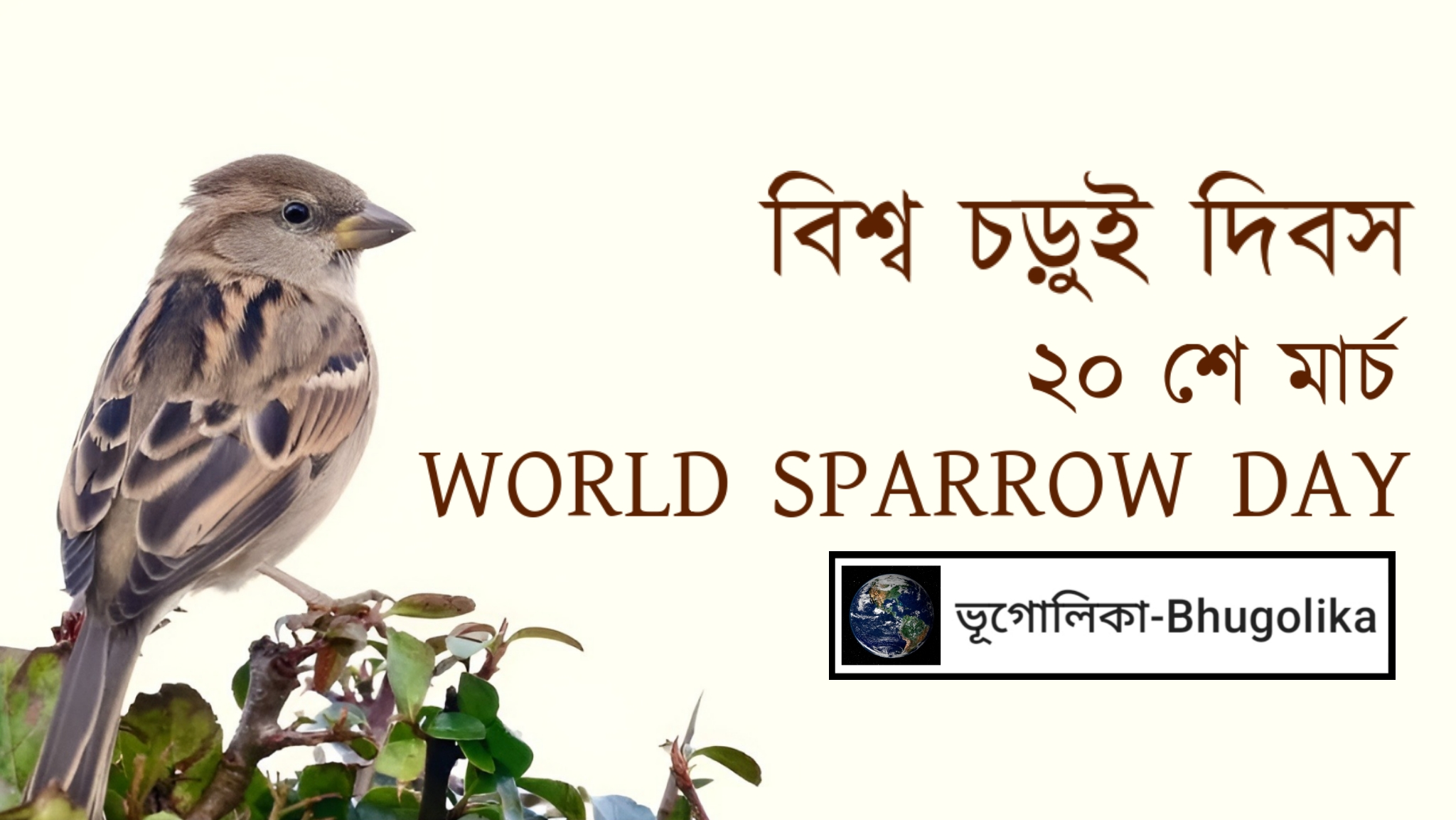 World Sparrow Day