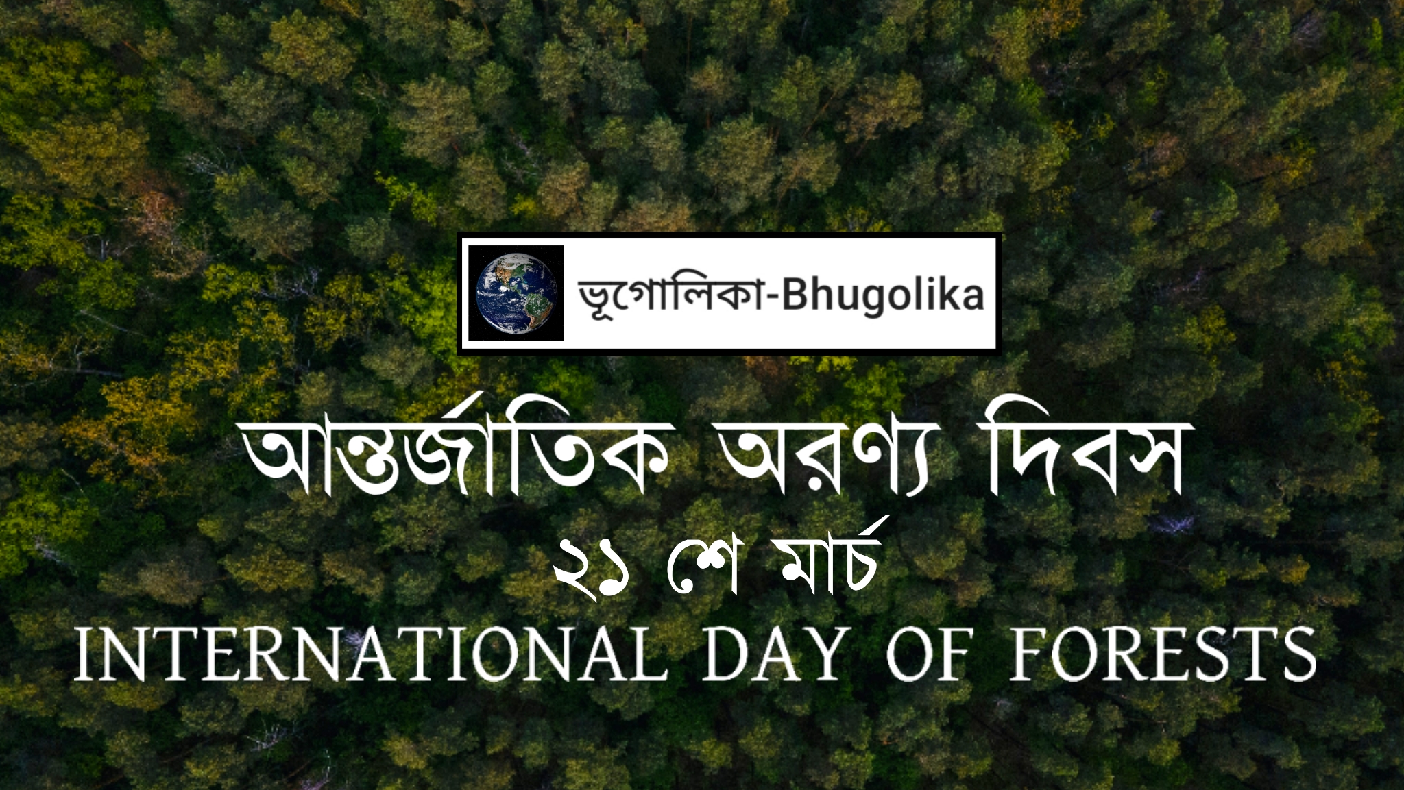 International Day of Forests