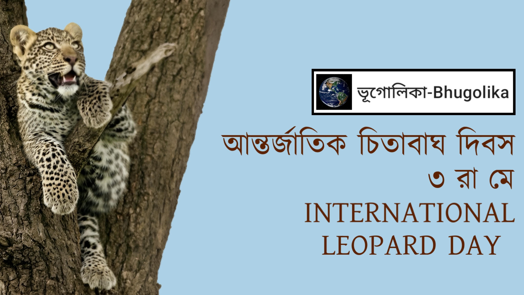 International Leopard Day 