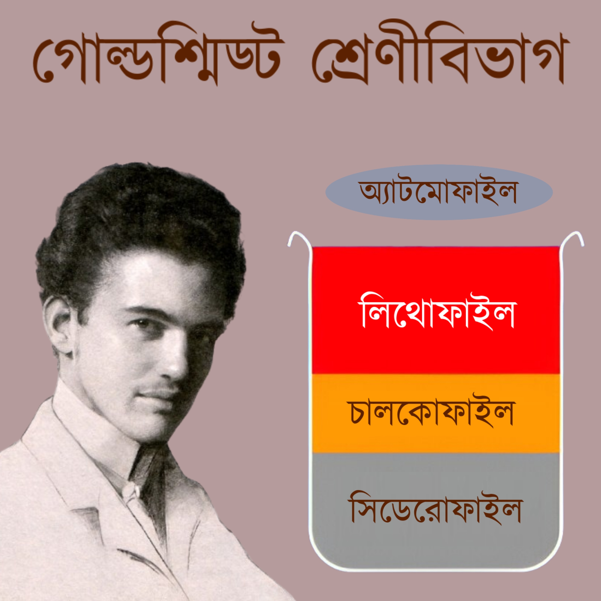 Goldschmidt Classification 