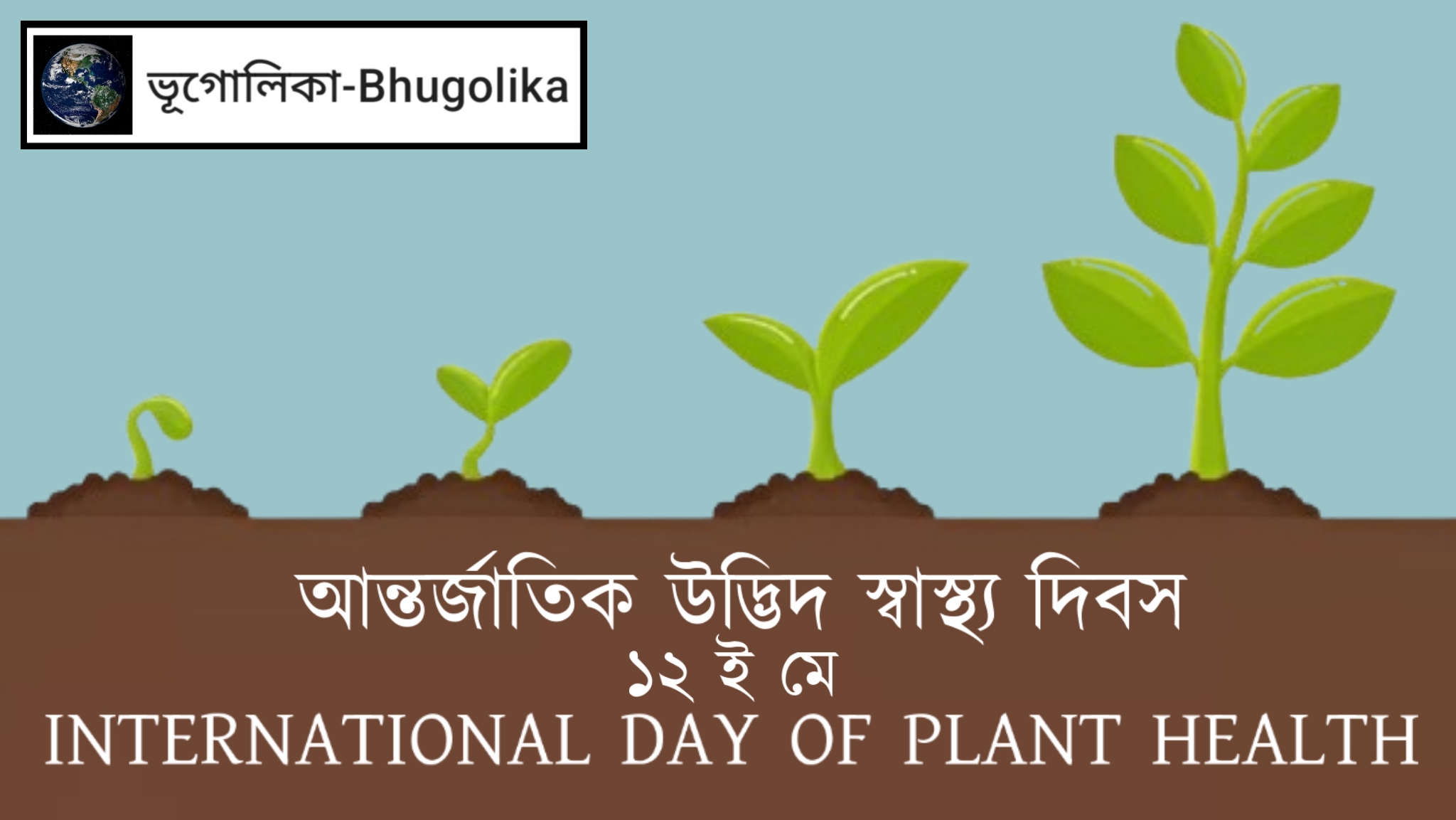 International Day of Plant Health