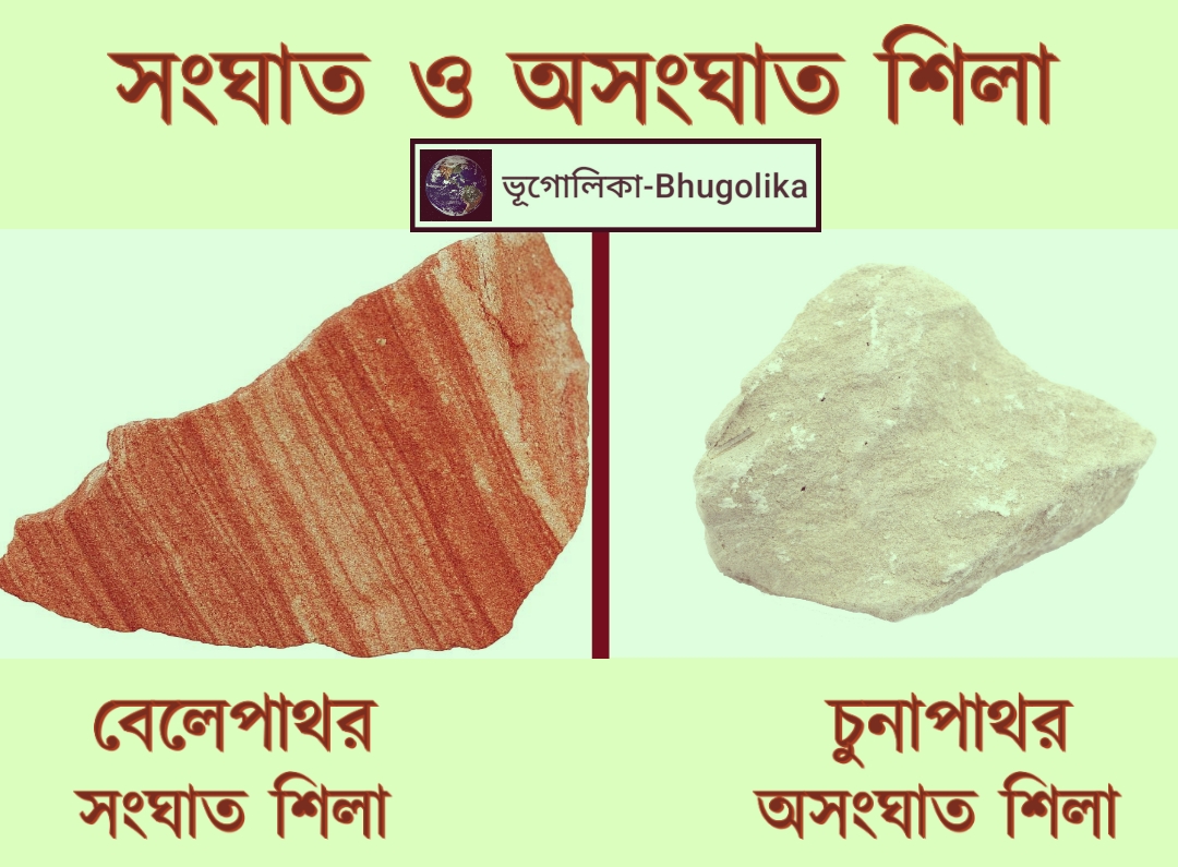 Clastic & Non-Clastic Rocks