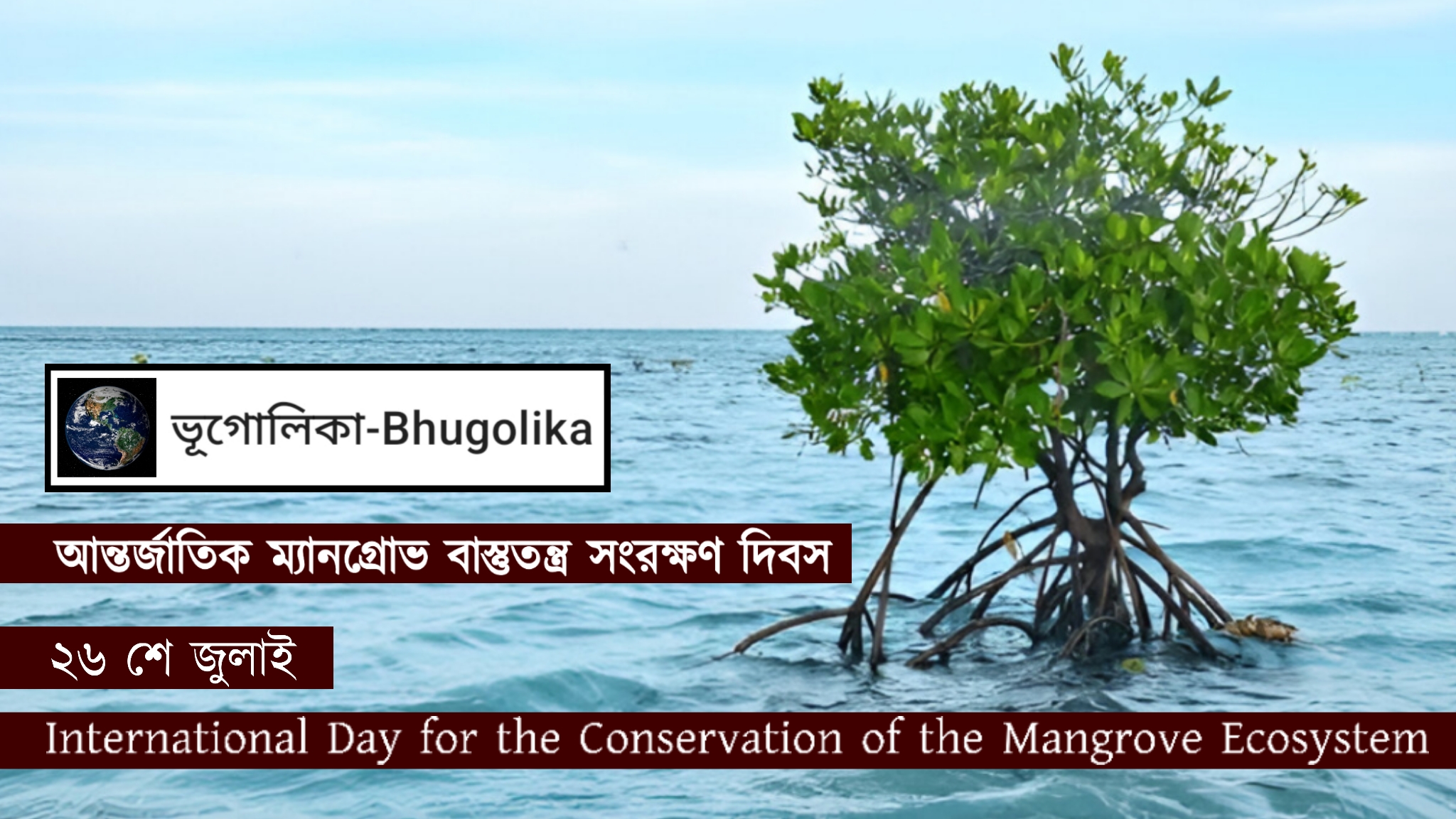 International Day for the Conservation of the Mangrove Ecosystem