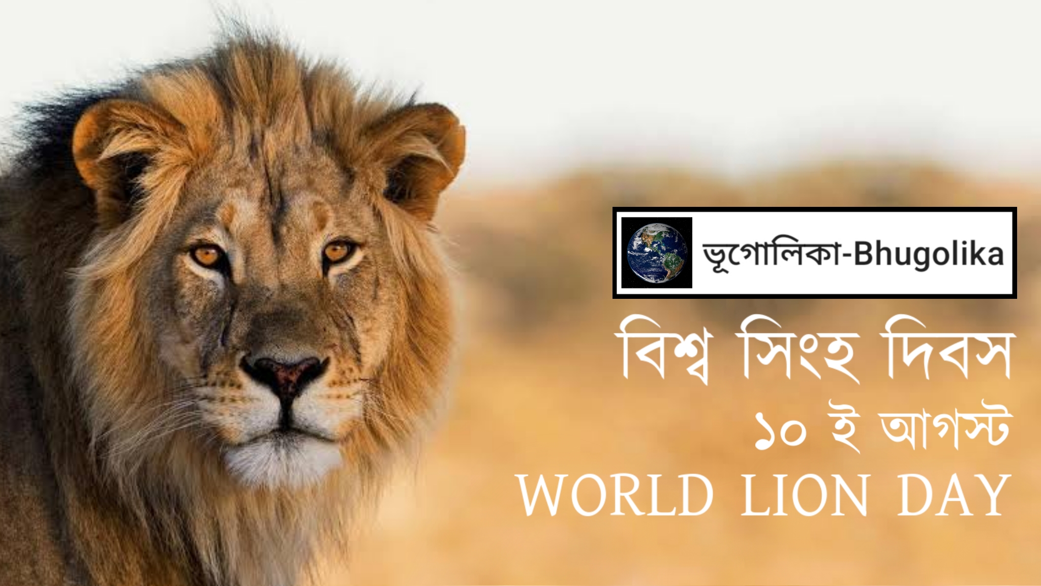 World Lion Day