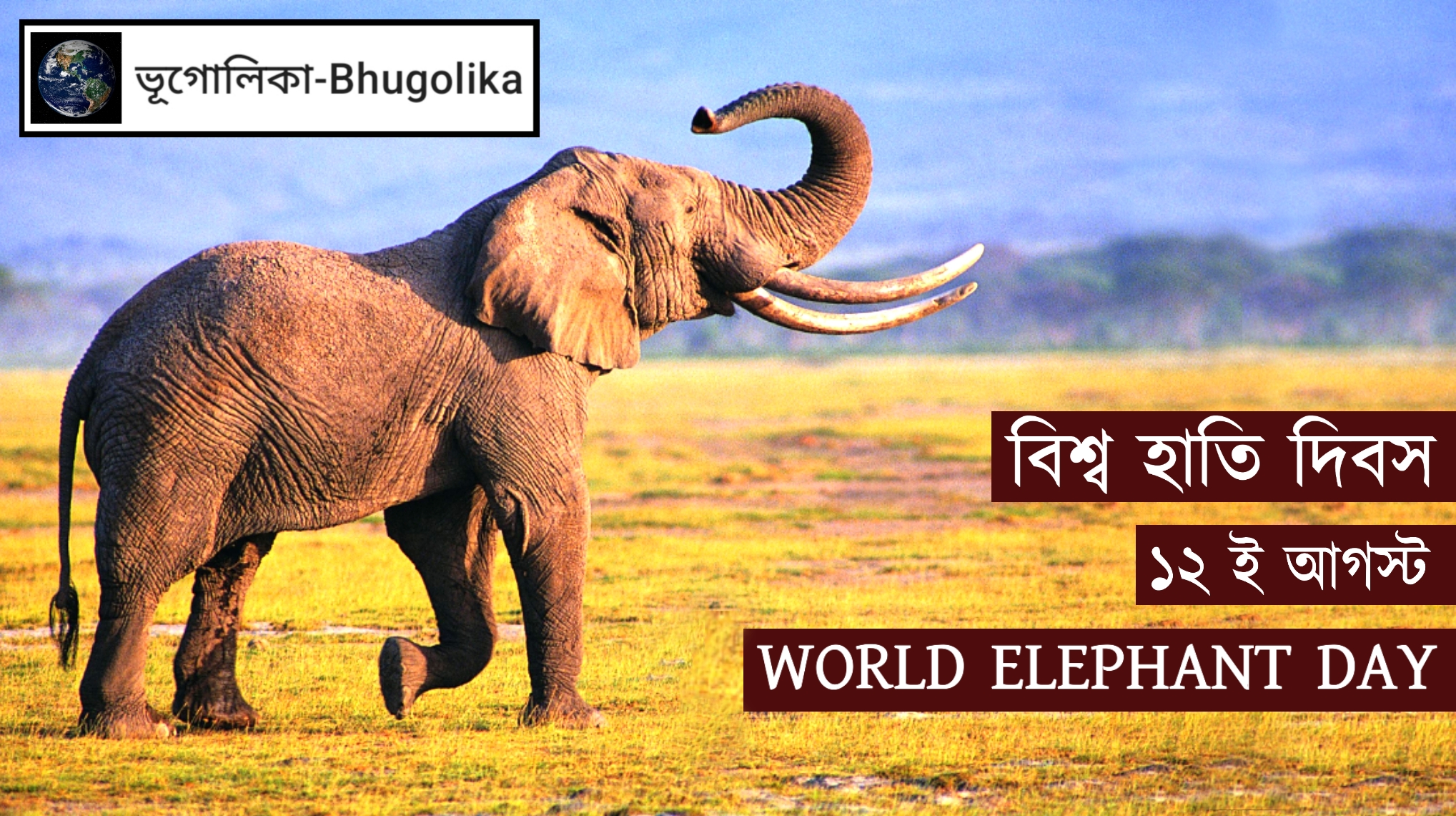 World Elephant Day