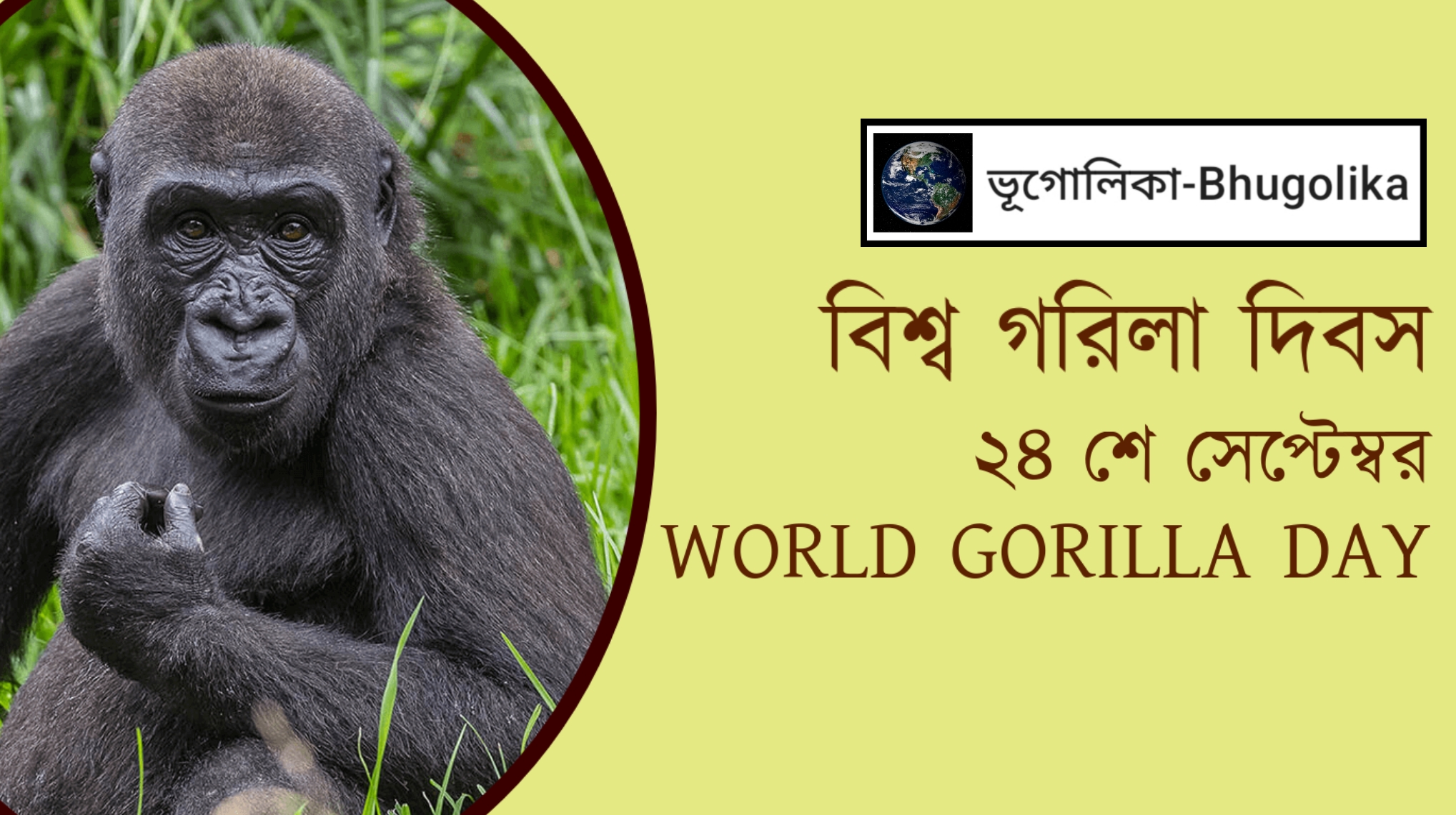 World Gorilla Day