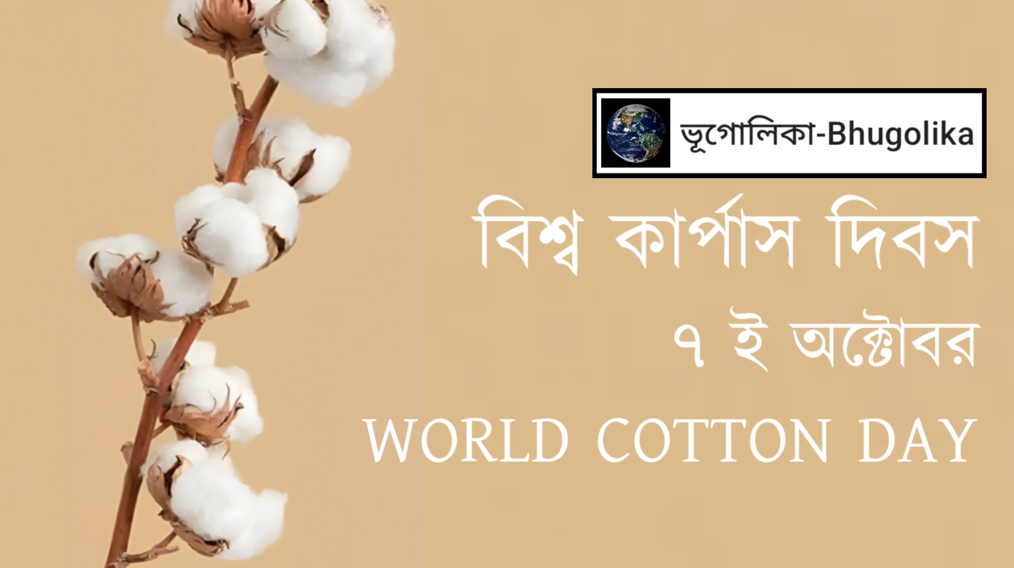 World Cotton Day