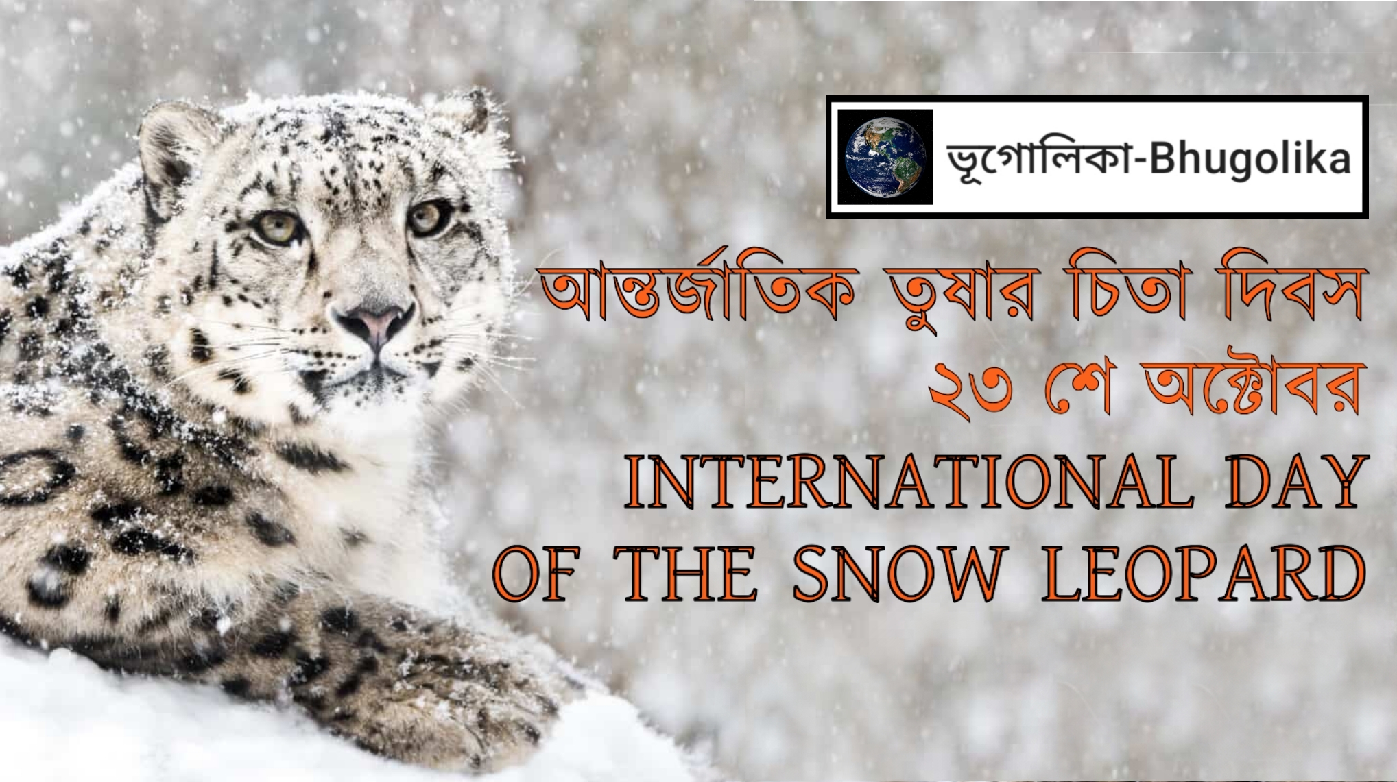 International Day of the Snow Leopard
