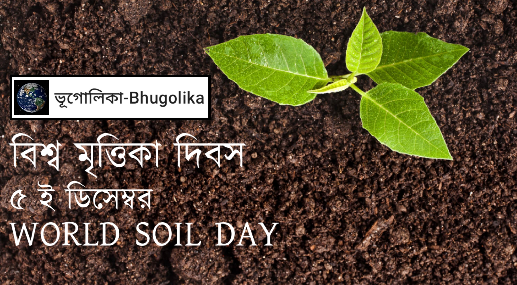 World Soil Day